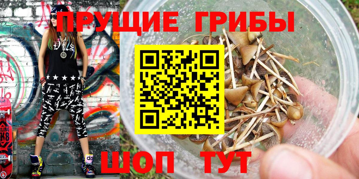 Псилоцибиновые грибы GOLDEN TEACHER  Вход с VPN  Горно-Алтайск  Галлюциногенные грибы Psilocybe 