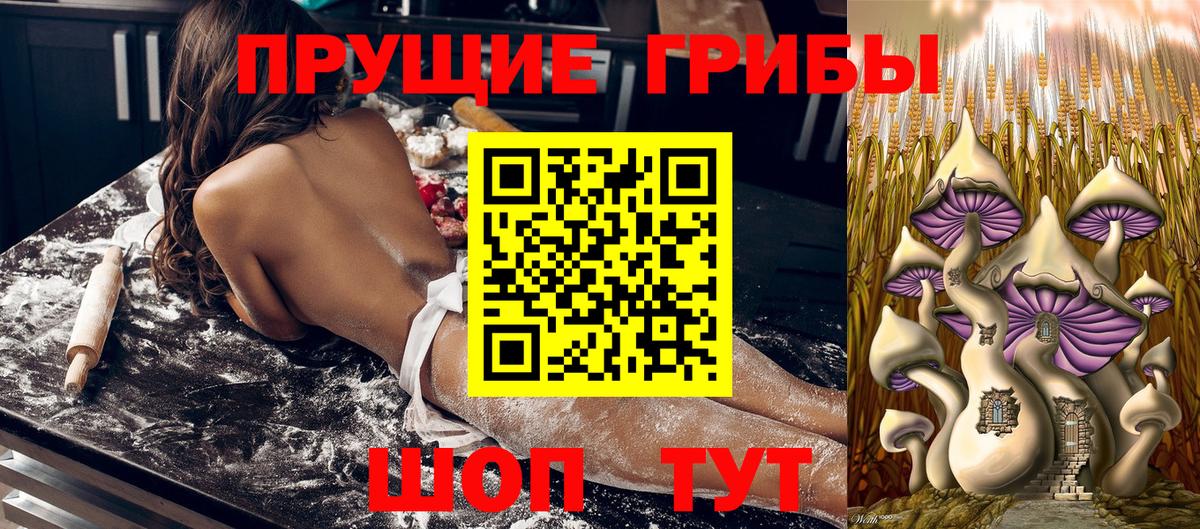 Галлюциногенные грибы мухоморы Горно-Алтайск